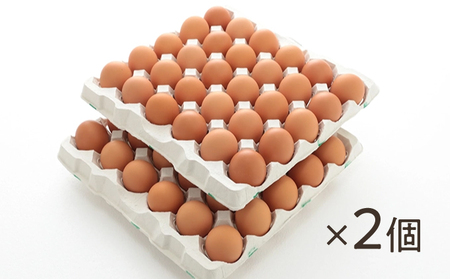 C-3【12か月定期便】お届け日時の指定可能「夢そだち120個」厳選飼料を食べて育った自社養鶏場の新鮮卵を♪