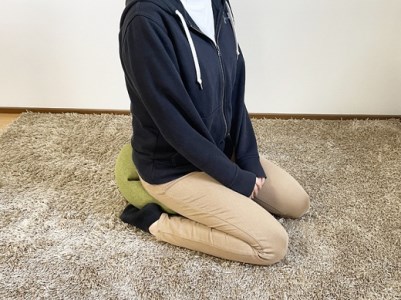 H-121 小 ざえもん(茶)