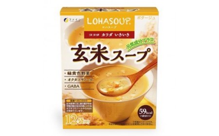 D-13　[ファイン]玄米スープ　20個セット