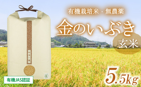 G-97　有機JAS認証 無農薬栽培 金のいぶき玄米　※5.5キロ【令和４年度産】