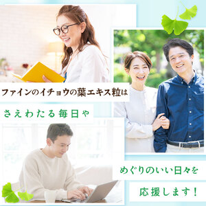 H-204　イチョウ葉エキスPrime×3個セット