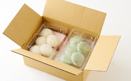 ふっくらもっちもち杵つき餅(バラエティセット)【配送不可地域:離島】【1497777】