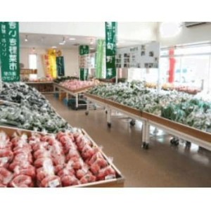 道の駅いながわ　商品券(3,000円分)【1497828】