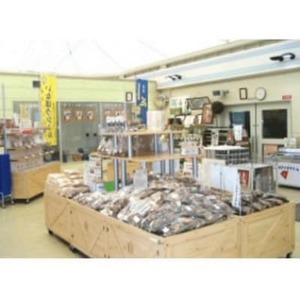 道の駅いながわ　商品券(3,000円分)【1497828】