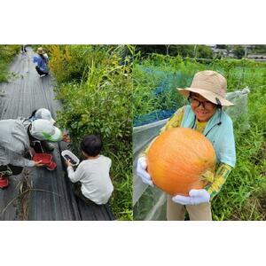 『とちはら山空の家』自然遊び一日体験チケット 1枚(1名様分)【1573792】