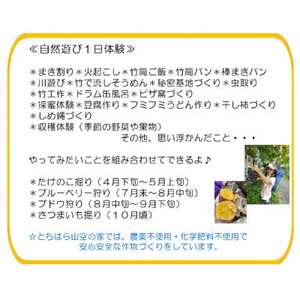『とちはら山空の家』自然遊び一日体験チケット 1枚(1名様分)【1573792】