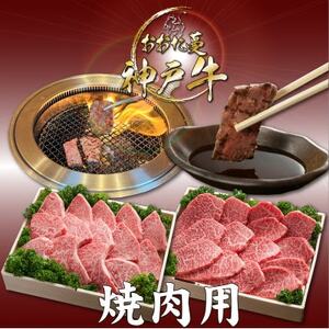 【発送月固定定期便】A5 おおた蔓 神戸牛(神戸ビーフ)　それは選ばれし希少な一頭全6回【配送不可地域：離島】【4067235】