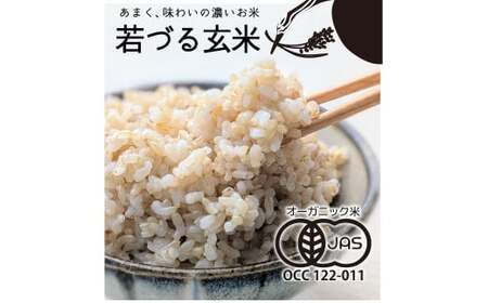 【若づる米】オーガニック 有機米 きぬむすめ 玄米 3kg[1175]