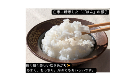 【若づる米】オーガニック 有機米 きぬむすめ 玄米 3kg[1175]