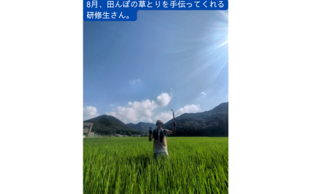 【若づる米】オーガニック 有機米 きぬむすめ 玄米 3kg[1175]