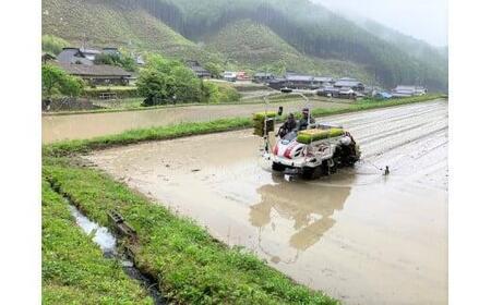 玄米 お米 30kgコシヒカリ 兵庫県多可町産 [1294]