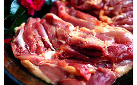 多可の播州百日どり3羽セット[129] 鶏肉 もも肉 むね肉 ささみ 手羽先 手羽元 肝 砂肝 ３羽分 播州百日どり 冷蔵