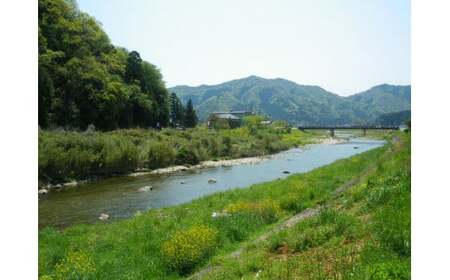 龍力特別純米「山田錦」・「山田穂」セット[144]