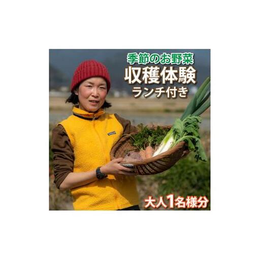 ファームビジット（収穫体験）とランチ（1名様分）[200]