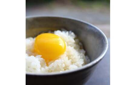黄身のつまめる元気たまご[228]