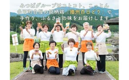 すぎはら川 こっこカレー レトルトカレー オリジナル アジアン風味 常温 温めるだけ 播州百日どり 非常食 アウトドア キャンプ飯 お手軽[270]