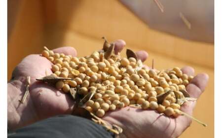 木桶仕込み、自然栽培みそ「結」とこだわり味噌詰め合わせ[513] 無添加 生みそ 生味噌 天然醸造 長期熟成 自然栽培味噌