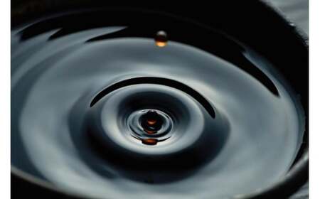 国産有機醤油（うす口5本、こい口5本）詰め合わせ[536]