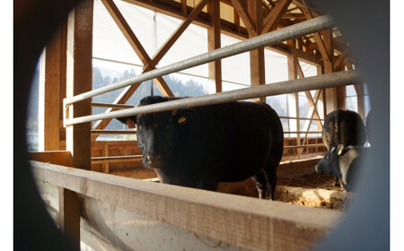 神戸ビーフ 焼肉用 TKY3[611] 神戸牛