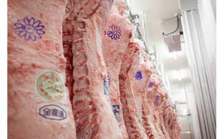 神戸ビーフ 不揃いのサイコロステーキ TKDS[612] 神戸牛