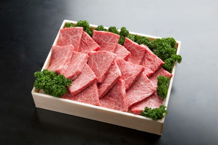 神戸ビーフ 焼肉用セット TKYS5[615] 神戸牛