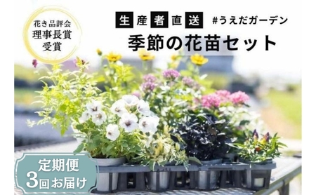 花 定期便 3ヶ月季節の花苗 セット 花き品評会理事長賞受賞 花苗 生産者直送 庭季節の花苗セット ガーデニング 花壇 苗 苗木 花の苗 花の苗物 定期 お楽しみ 3回 お届け 