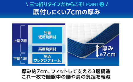 トゥルースリーパープレミアリッチ 三つ折りタイプ（シングル） マットレス