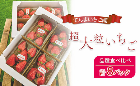 【予約受付】てんまいちご園　超大粒いちご 8パックセット　品種食べ比べボックス　いちご イチゴ 食べ比べ 超大粒 大粒 兵庫県 稲美町 果物類 苺