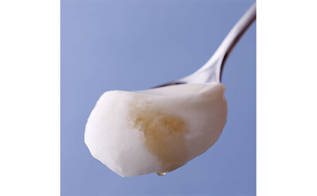 うずしおプリン 6個入り（メープルシロップ付）