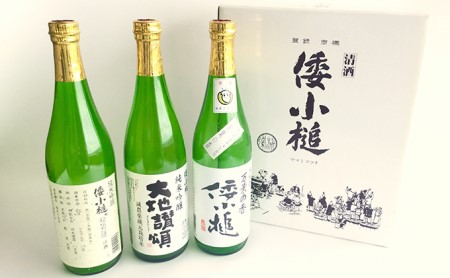 倭小槌 人気3本セット