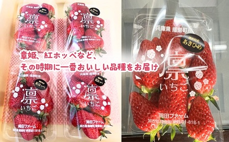 兵庫県播磨町産 季節のイチゴ(約260g)×4パック