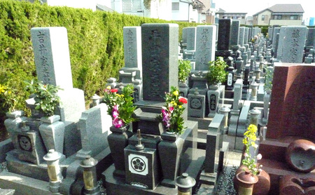 墓地の清掃 お墓 墓地 墓 掃除 お掃除 清掃 代行 清掃代行 お掃除代行 草むしり 草取り お墓参り サービス 播磨町 兵庫県