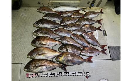 タイラバ・タコ釣り遊漁船　『デカガメ』　乗合　利用券　3名様　乗船券 釣り 乗合い 船 魚釣り フィッシング 体験 チケット レジャー 魚 さかな 兵庫県 播磨町