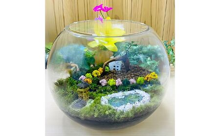 苔テラリウム3.丸形ガラス大 ボトルテラリウム 苔テラリウム ご当地 風景 ハンドメイド 観葉植物 苔 インテリア グリーン ギフト 贈り物 おしゃれ 播磨町 兵庫県