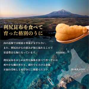 【2025年6月発送開始｜先行受付】北海道利尻島産「朝どり」生うに塩水パック40g（蝦夷バフンウニ）ウニ 塩水ウニ 北海道 利尻 バフンウニ