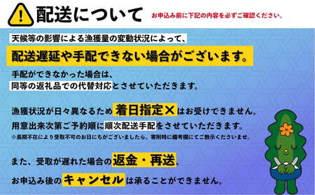 【2025年6月発送開始｜先行受付】北海道利尻島産「朝どり」生うに塩水パック40g（蝦夷バフンウニ）ウニ 塩水ウニ 北海道 利尻 バフンウニ