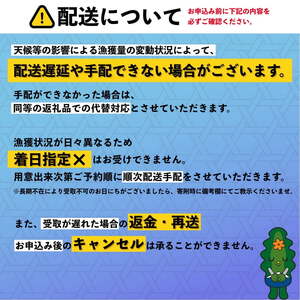 【2025年6月発送開始｜先行受付】北海道利尻島産「朝どり」生うに塩水パック40g×2パック（蝦夷バフンウニ）ウニ 塩水ウニ 北海道 利尻 バフンウニ