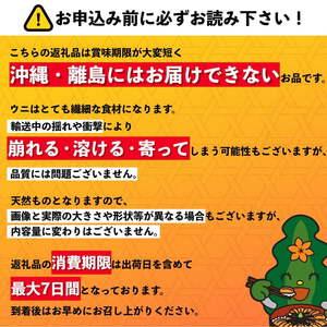  [2025年先行予約] 北海道 利尻島産 塩水生うに（バフンウニ）100g×1パック   | 北海道 利尻 うに ウニ 雲丹 生うに 無添加 塩水 みょうばん不使用 塩水ウニ 国産うに 天然うに 利尻島 エゾバフンウニ バフンウニ