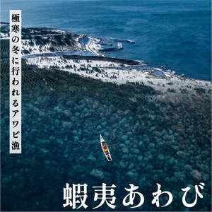 北海道利尻島産 天然〈活〉蝦夷アワビ500g（5～7個）【10月下旬～12月下旬発送】