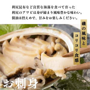 【10月中旬～12月期間限定】利尻島産 天然蝦夷『活』アワビ500g※オンライン決済限定