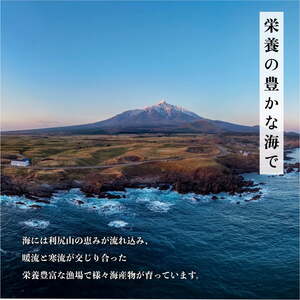 【10月中旬～12月期間限定】利尻島産 天然蝦夷『活』アワビ500g※オンライン決済限定