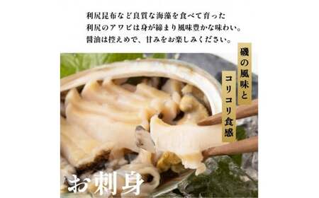 利尻島産 天然蝦夷あわび500g（冷凍）｜魚介類 刺身 北海道 [1060004]