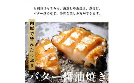 利尻島産 天然蝦夷あわび500g（冷凍）｜魚介類 刺身 北海道 [1060004]