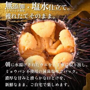 【2026年発送受付】利尻昆布育ちの天然生うに 塩水キタムラサキ 90g (90g×1p)｜北海道 朝獲れ 無添加 ミョウバン不使用 [1110003]