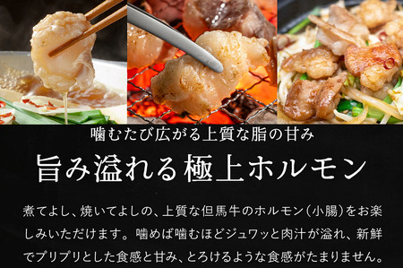 但馬牛経産牛「ホルモン」500ｇ×2パック　012AA04N.／肉 牛肉 お肉 ホルモン 但馬牛 経産牛 鍋 ホルモン鍋 もつ鍋 BBQ 焼き肉 焼肉 野菜炒め