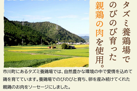 たずみのチキンソーセージ（5本入×2パック）005AB01N.／鶏肉 親鳥 ソーセージ 鳥肉 とりにく ひねどり ひね鶏 チキン ウィンナー チキンウインナー 鶏ソーセージ もも肉 アウトドア バーベキュー BBQ お弁当 おかず おつまみ 惣菜 小分け 国産 冷凍