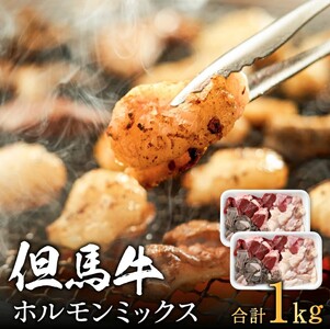 但馬牛経産牛「ホルモンミックス」500ｇ×2パック　012AA03N.／肉 牛肉 お肉 ホルモン 但馬牛 経産牛 鍋 ホルモン鍋 もつ鍋 BBQ 焼き肉 焼肉 野菜炒め