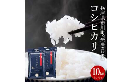 新米 令和７年産 市川町産 コシヒカリ（NICOMARU農場）精米10kg（5kg×2袋）　026NM01N. / コシヒカリ 精米 お米 ご飯 ごはん 市川町