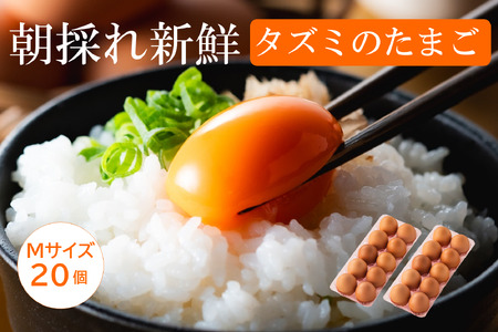 【TVで紹介されました】タズミの卵Ｍサイズ（20個）005AB02N.／こだわり卵 市川町産 兵庫県産 たまご たまごかけご飯 玉子 生卵 鶏卵 タマゴ 卵焼き TKG