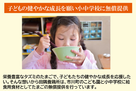 【TVで紹介されました】タズミの卵Ｍサイズ（20個）005AB02N.／こだわり卵 市川町産 兵庫県産 たまご たまごかけご飯 玉子 生卵 鶏卵 タマゴ 卵焼き TKG